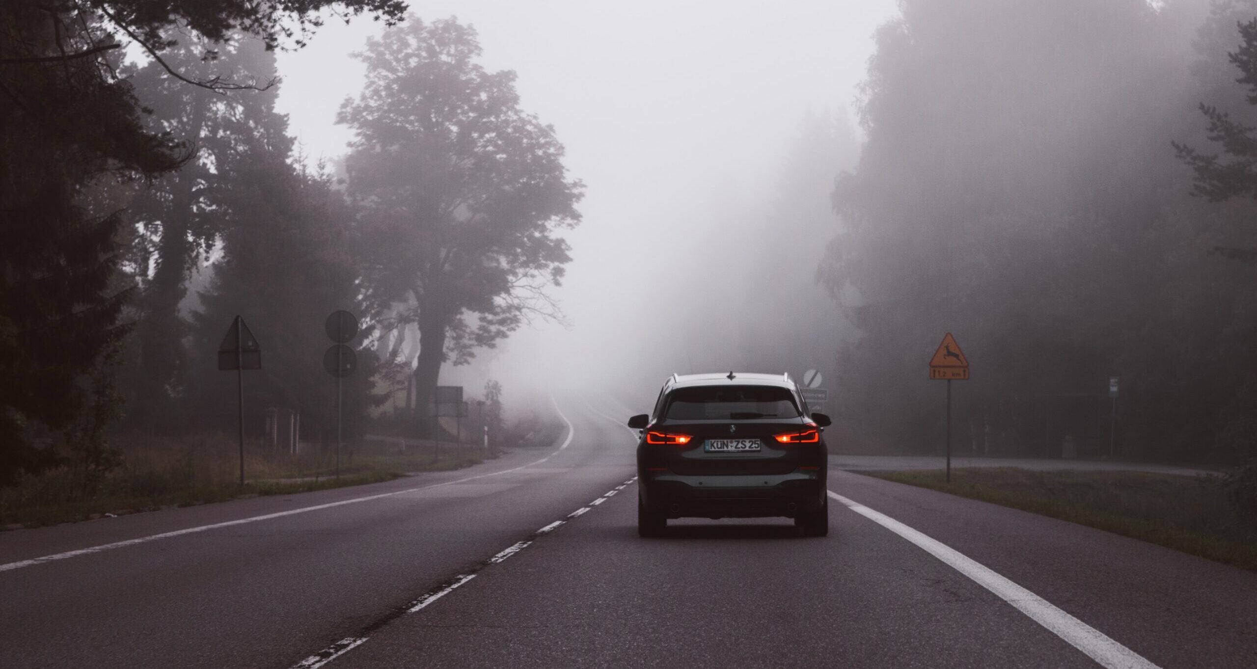 Car on an empty road with mist and trees in the background.